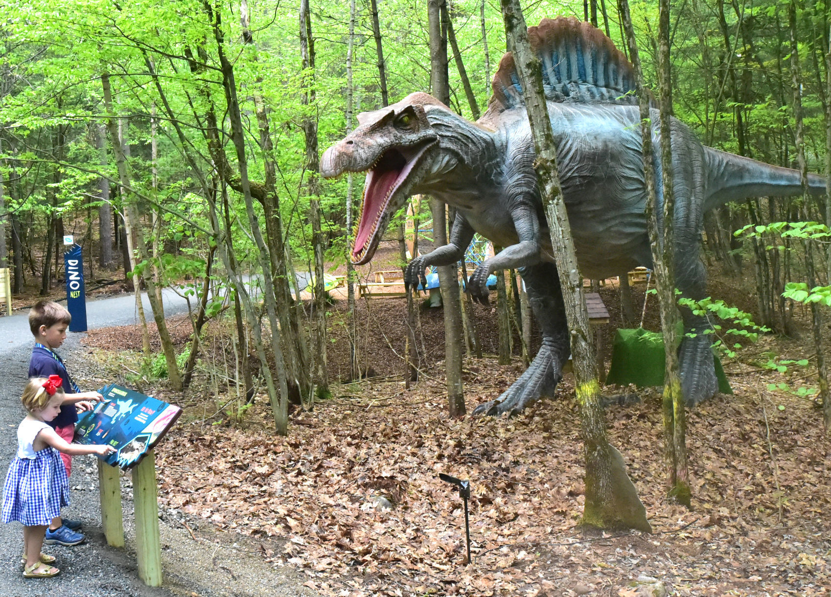 Learning about dinosaurs